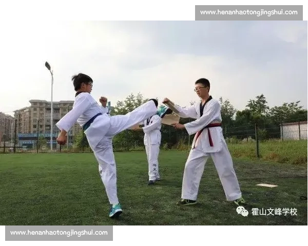 中国功夫与跆拳道的对决与比较:技艺、文化与实战应用的全面探讨 中国功夫与跆拳道的对决与比较:技艺、文化与实战应用的全面探讨